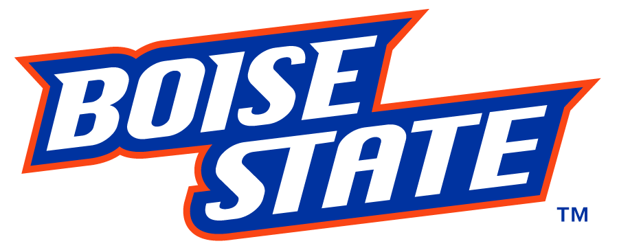 Boise State Broncos 2012-2013 Wordmark Logo DIY iron on transfer (heat transfer)